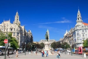 Porto: Privat tur med höjdpunkter i staden med lokal guide