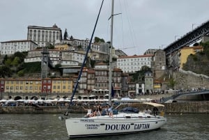 Porto: Private Douro River Charming Cruise w/wine tasting 8p