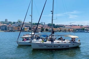 Porto: Private Douro River Charming Cruise w/wine tasting 8p