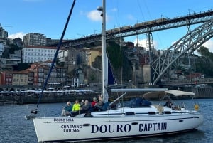Porto: Private Douro River Charming Cruise w/wine tasting 8p