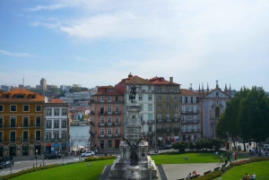 Porto: Yksityinen historiallisen keskustan kävelykierros ja degustointi