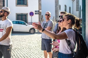 Oporto: Tour histórico privado a pie con guía local