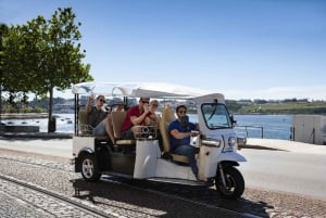 Porto : Visite touristique privée en tuk tuk électrique