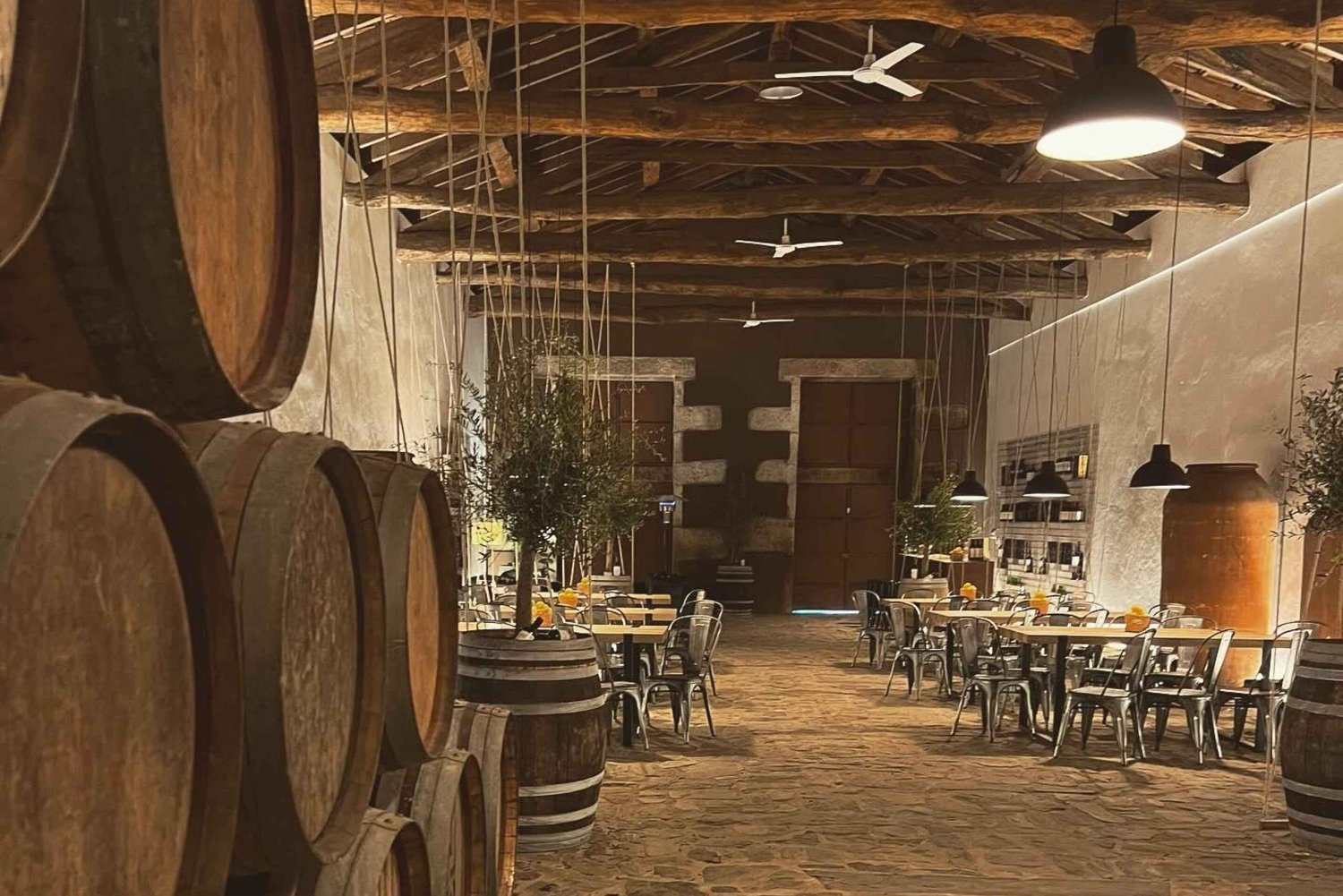 Porto: Régua-krydstogt med togtur og vinsmagning