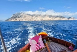 Porto San Paolo: tour in barca di mezza giornata a Tavolara e Molara