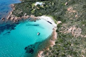 Porto San Paolo: tour in barca di mezza giornata a Tavolara e Molara
