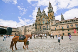 Porto: Jednodniowa wycieczka do Santiago de Compostela i Valença do Minho
