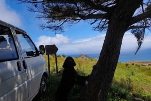 Isla de Porto Santo: Ruta panorámica del Pico do Facho
