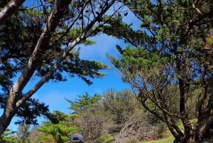 Isla de Porto Santo: Ruta panorámica del Pico do Facho