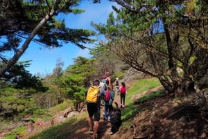 Isla de Porto Santo: Ruta panorámica del Pico do Facho