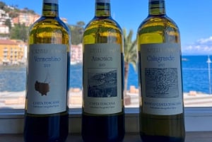Porto Santo Stefano: Vinsmaking med havutsikt