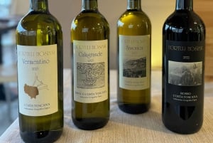 Porto Santo Stefano: Vinsmaking med havutsikt