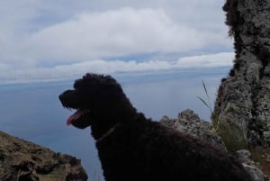 Porto Santo: Terra Chã and Pico Branco Hiking tour