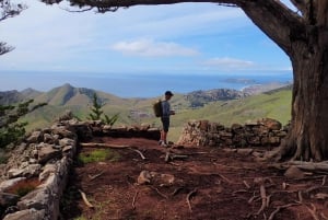 Porto Santo: Terra Chã and Pico Branco Hiking tour