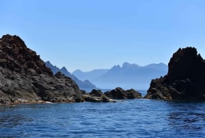 Porto: Scandola and Calanches of Piana Boat Trip