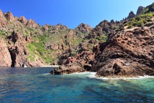Oporto: Reserva Natural de Scandola y Excursión en Barco por las Calas de Piana
