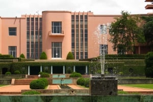 Porto: Serralves Foundation All Access Pass