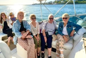 Porto SHARED Boat Tour: Bridges & River Mouth w/ DRINKS