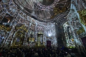 Порту: входной билет на мультимедийное шоу Spiritus