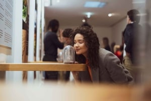 Oporto: Museo del Chocolate - Descubre los secretos del chocolate