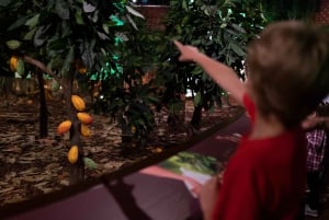 Oporto: Museo del Chocolate - Descubre los secretos del chocolate