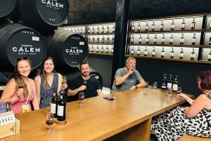 Esperienza da Porto a Gaia: Passeggiata in città e cantine