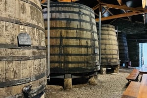 Esperienza da Porto a Gaia: Passeggiata in città e cantine