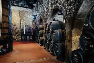 Esperienza da Porto a Gaia: Passeggiata in città e cantine