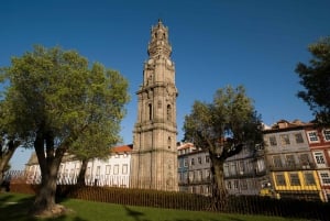 Porto: Torre dos Clerigos Indgangsbillet