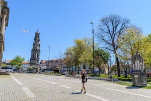 Porto: Torre dos Clerigos Indgangsbillet