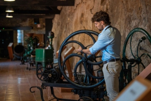 Porto: Tuk-Tuk-tur Tuk-Tuk-tur, guidad kryssning på floden Douro och vinprovning
