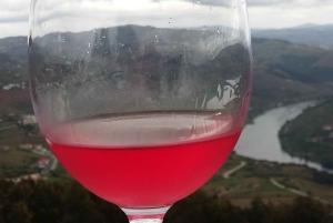 Porto: Degustacja wina z 4 winami w Portus Wine