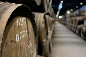 Порту: Пешеходная экскурсия 'Дегустация вин с тапас