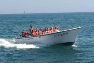 Portugal: 2 timers bådtur til Benagil-hulen