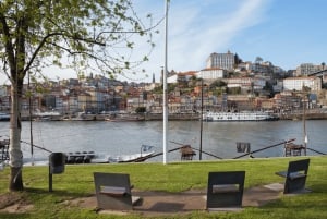 Tour privato di 4 ore dei 'Monumenti principali' di Oporto