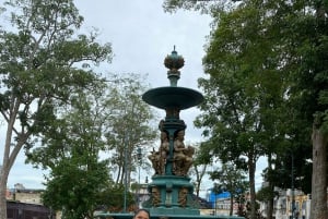 Tour privado de la ciudad en el centro histórico de Manaos