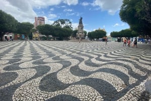 Tour privado de la ciudad en el centro histórico de Manaos