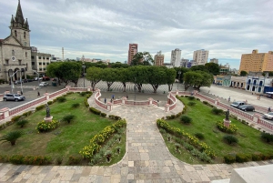 Tour privado de la ciudad en el centro histórico de Manaos
