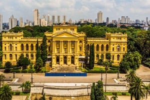 Privat byrundvisning, der kan tilpasses, i São Paulo