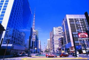 Privat byrundvisning, der kan tilpasses, i São Paulo