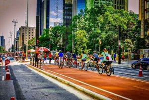 Privat byrundvisning, der kan tilpasses, i São Paulo