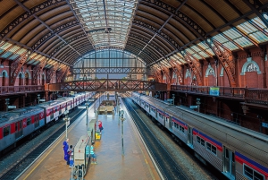 Privat byrundvisning, der kan tilpasses, i São Paulo