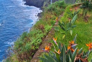 Частный тур на Мадейру на целый день