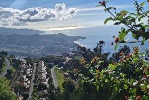 Частный тур на Мадейру на целый день