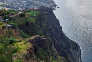 Частный тур на Мадейру на целый день