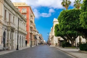 Reggio Calabria: stadstur och Museo dei Bronzi di Riace med provsmakning