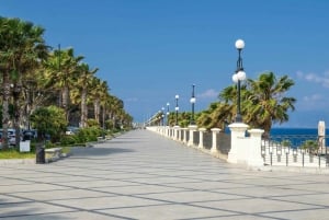 Reggio Calabria: stadstur och Museo dei Bronzi di Riace med provsmakning