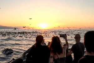 São Miguel: Auringonlaskun veneretki – kultainen valo, kalliot ja luolat