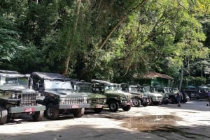 Rio de Janeiro: Jeep-Tour durch den Tijuca-Wald