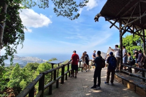 Rio de Janeiro: Jeep-Tour durch den Tijuca-Wald